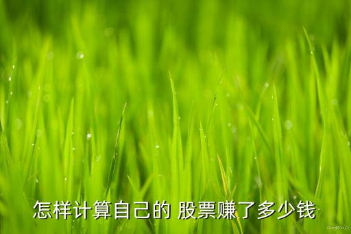 怎樣計算自己的 股票賺了多少錢