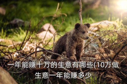 一年能賺十萬(wàn)的生意有哪些(10萬(wàn)做生意一年能賺多少