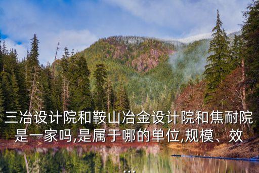 三冶設計院和鞍山冶金設計院和焦耐院是一家嗎,是屬于哪的單位,規(guī)模、效...