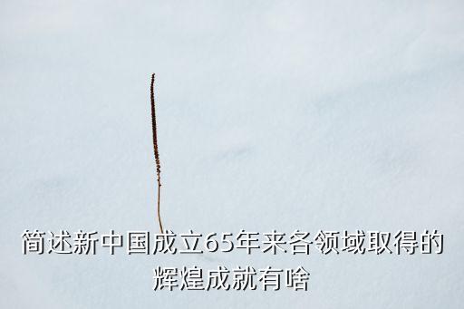 簡(jiǎn)述新中國(guó)成立65年來各領(lǐng)域取得的輝煌成就有啥