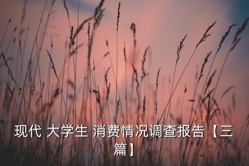 現(xiàn)代 大學(xué)生 消費情況調(diào)查報告【三篇】