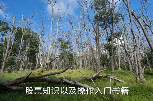  股票知識(shí)以及操作入門書(shū)籍
