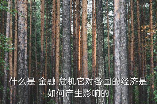 金融危機和銀行危機,08年金融危機哪些銀行倒閉了