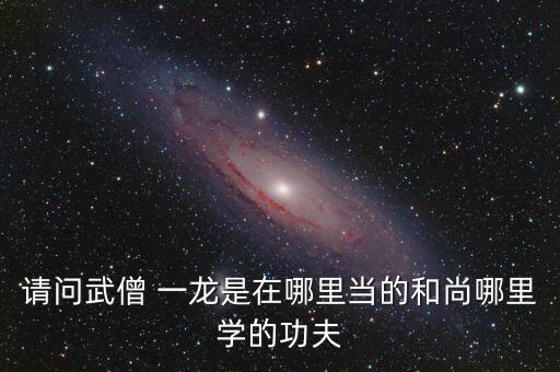 請問武僧 一龍是在哪里當?shù)暮蜕心睦飳W的功夫