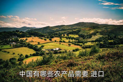 中國有哪些農(nóng)產(chǎn)品需要 進口