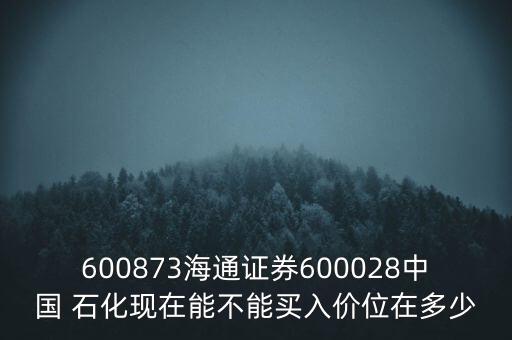600873海通證券600028中國 石化現(xiàn)在能不能買入價位在多少