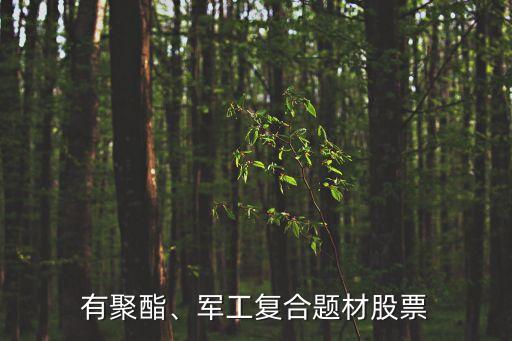 有聚酯、軍工復合題材股票