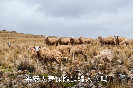 中國平安保險霧霾