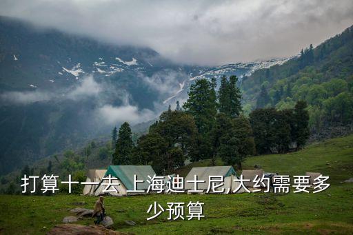 上海迪斯尼消費(fèi)多少錢