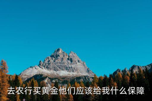 去農行買黃金他們應該給我什么保障