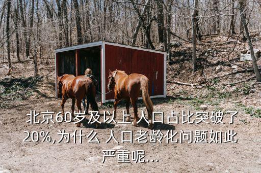  北京60歲及以上 人口占比突破了20%,為什么 人口老齡化問(wèn)題如此嚴(yán)重呢...