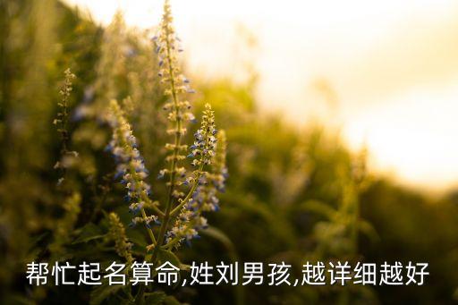 幫忙起名算命,姓劉男孩,越詳細越好