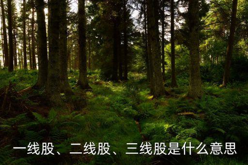  一線股、二線股、三線股是什么意思