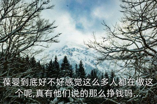 葆嬰到底好不好感覺這么多人都在做這個(gè)呢,真有他們說的那么掙錢嗎...