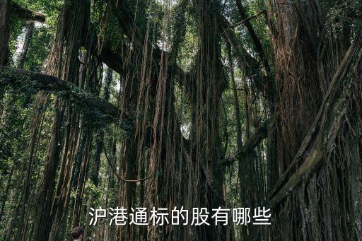 北京瀚藍(lán)文化傳播有限公司,北京藍(lán)站文化傳播有限公司