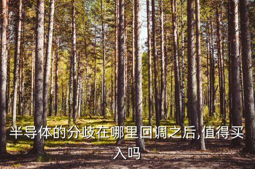 半導體的分歧在哪里回調之后,值得買入嗎