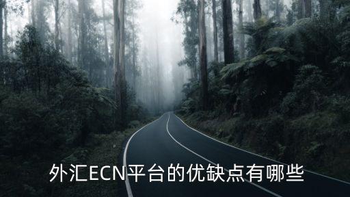 新外匯投資網(wǎng)優(yōu)勢(shì),外匯投資的優(yōu)勢(shì)