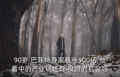 90歲 巴菲特身家暴漲500億,他看中的產(chǎn)業(yè)鏈還有 投資的機(jī)會嗎