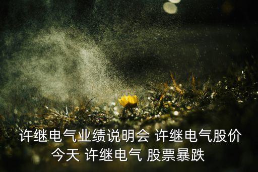 2015年許繼集團(tuán)新發(fā)的股票