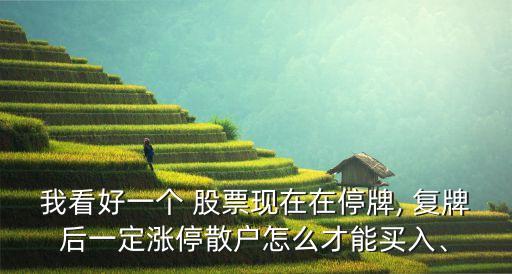 我看好一個 股票現在在停牌, 復牌后一定漲停散戶怎么才能買入、