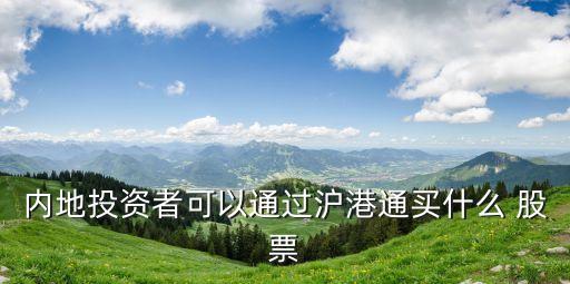內(nèi)地投資者可以通過(guò)滬港通買什么 股票