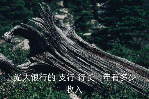  光大銀行的 支行 行長(zhǎng)一年有多少收入