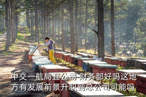  中交一航局五公司 財務(wù)部好嗎這地方有發(fā)展前景升職到總公司可能嗎