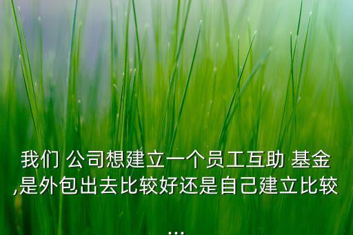 我們 公司想建立一個員工互助 基金,是外包出去比較好還是自己建立比較...