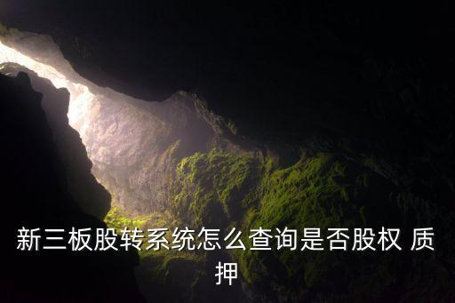 新三板股轉系統(tǒng)怎么查詢是否股權 質(zhì)押