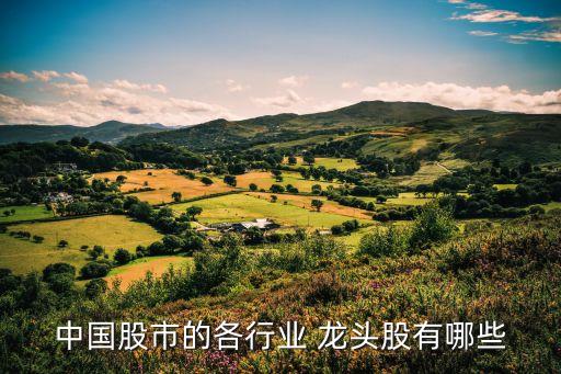 中國(guó)股市的各行業(yè) 龍頭股有哪些