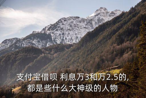 支付寶借唄 利息萬(wàn)3和萬(wàn)2.5的,都是些什么大神級(jí)的人物