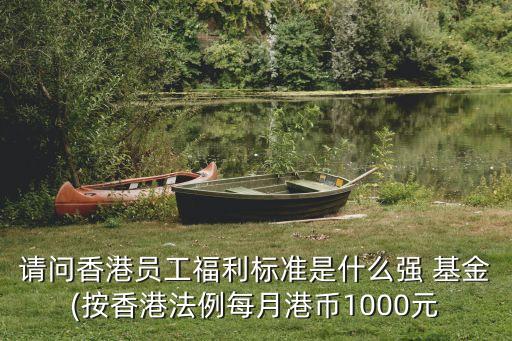 請(qǐng)問香港員工福利標(biāo)準(zhǔn)是什么強(qiáng) 基金(按香港法例每月港幣1000元