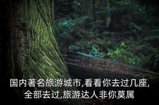 國內(nèi)著名旅游城市,看看你去過幾座,全部去過,旅游達人非你莫屬