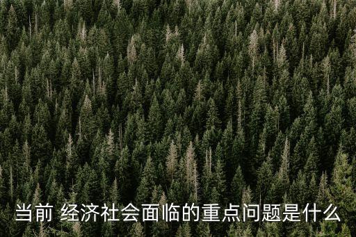 當(dāng)前 經(jīng)濟(jì)社會(huì)面臨的重點(diǎn)問題是什么