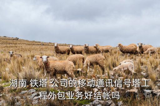 湖南 鐵塔 公司的移動通訊信號塔工程外包業(yè)務(wù)好結(jié)帳嗎