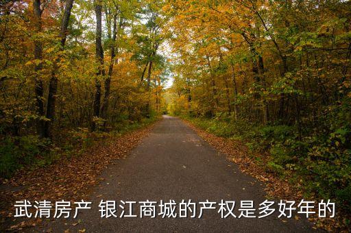 武清房產(chǎn) 銀江商城的產(chǎn)權(quán)是多好年的
