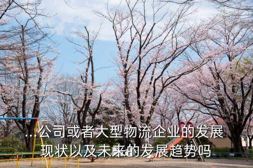 ...公司或者大型物流企業(yè)的發(fā)展 現(xiàn)狀以及未來的發(fā)展趨勢嗎