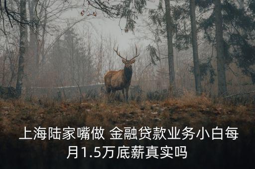  上海陸家嘴做 金融貸款業(yè)務(wù)小白每月1.5萬底薪真實嗎