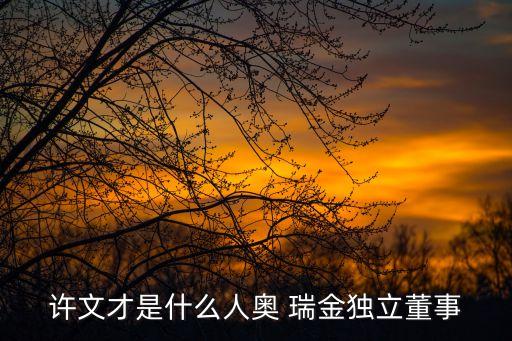 許文才是什么人奧 瑞金獨(dú)立董事