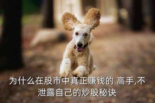 為什么在股市中真正賺錢的 高手,不泄露自己的炒股秘訣