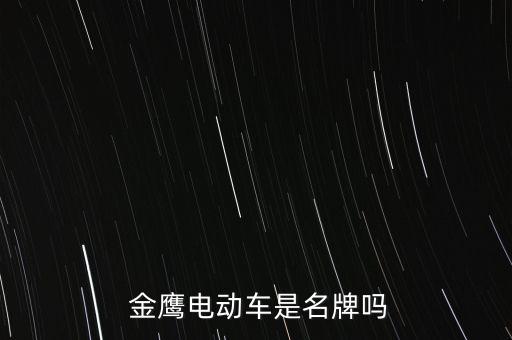  金鷹電動車是名牌嗎