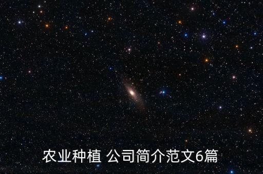 三寶公司康和平,康和平 董事長 三寶集團
