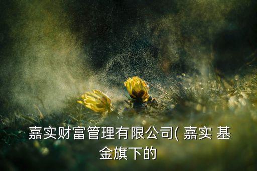  嘉實財富管理有限公司( 嘉實 基金旗下的