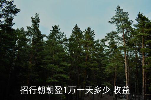 招行朝朝盈1萬一天多少 收益
