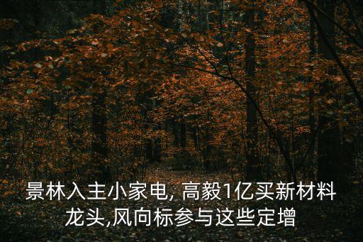景林入主小家電, 高毅1億買新材料龍頭,風向標參與這些定增