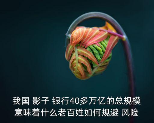 我國 影子 銀行40多萬億的總規(guī)模意味著什么老百姓如何規(guī)避 風險