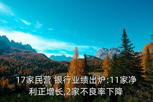 17家民營 銀行業(yè)績出爐:11家凈利正增長,2家不良率下降