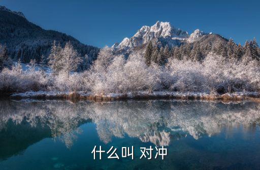 什么叫 對沖