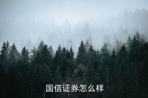 國信限制性股票融資業(yè)務