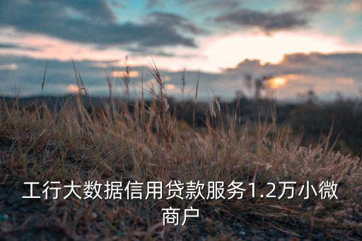 工行大數(shù)據(jù)信用貸款服務(wù)1.2萬小微商戶